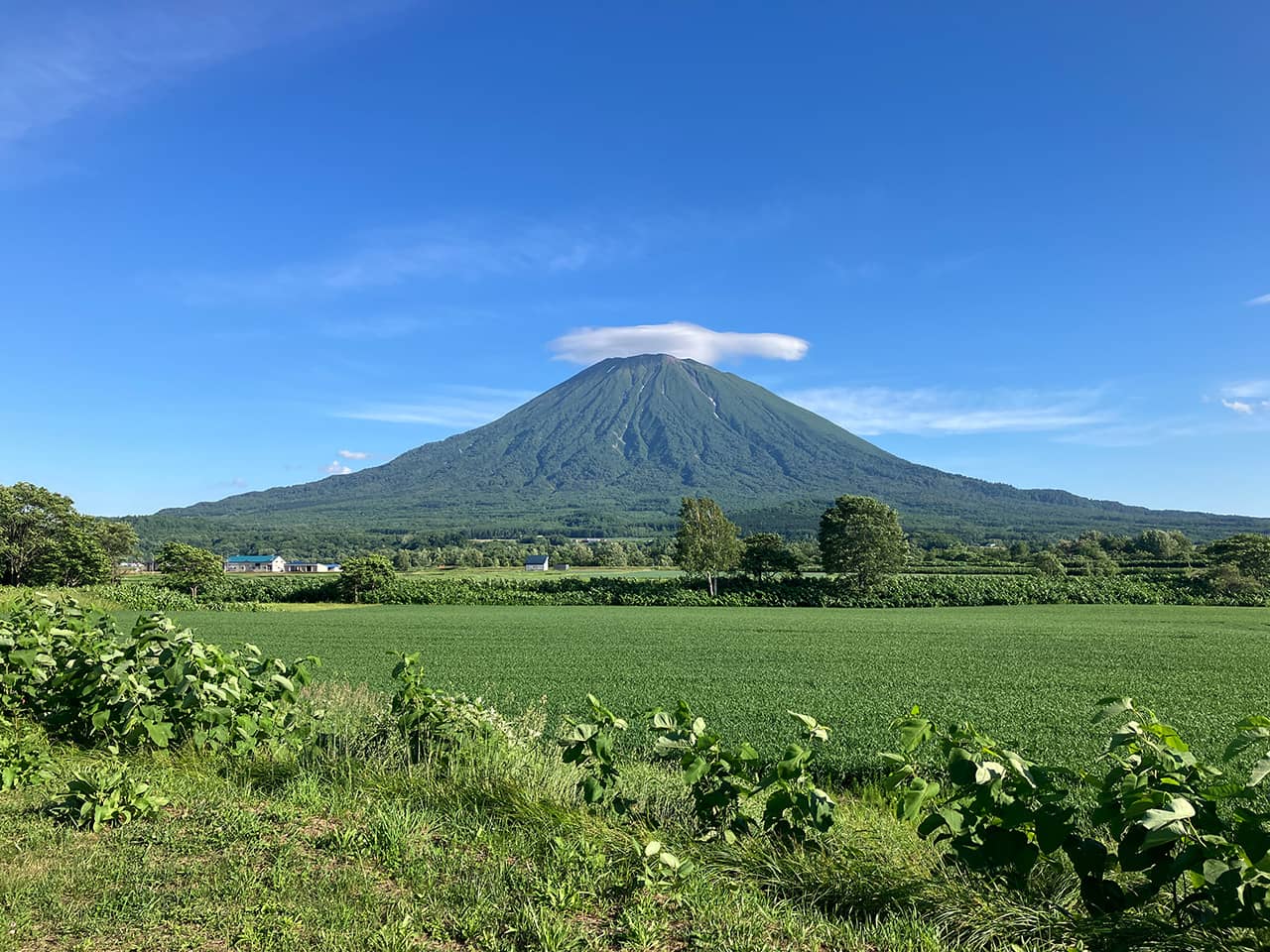 羊蹄山